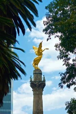 Book cover for Angel Statue Independence Monument (Mexico City, Mexico)