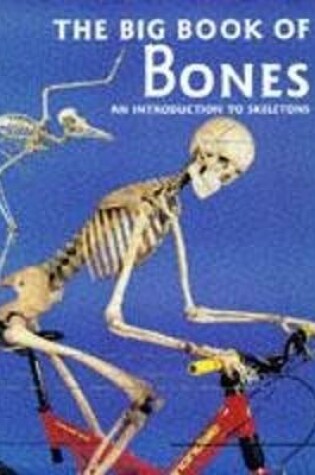 Cover of The Big Book of Bones