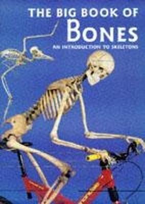 Book cover for The Big Book of Bones
