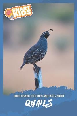 Book cover for Unbelievable Pictures and Facts About Quails