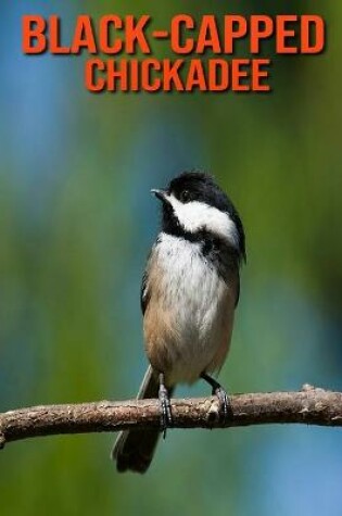 Cover of Black-Capped Chickadee