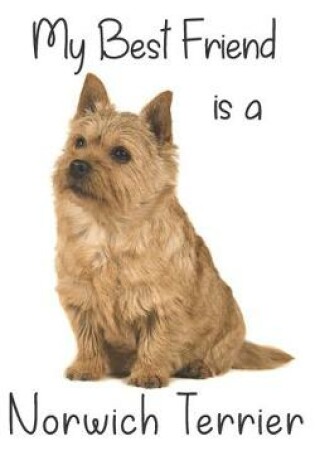 Cover of My best Friend is a Norwich Terrier