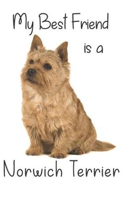 Book cover for My best Friend is a Norwich Terrier