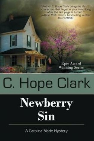 Cover of Newberry Sin