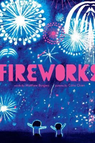 Cover of Fireworks