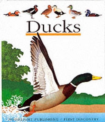 Book cover for Ducks