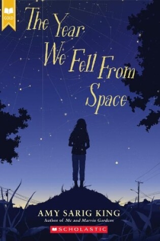 Cover of The Year We Fell from Space (Scholastic Gold)