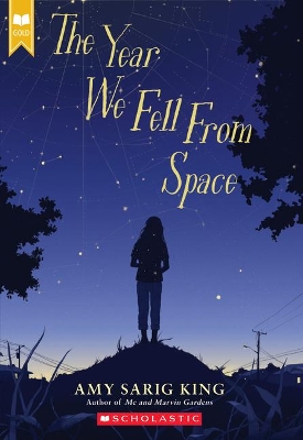 Book cover for The Year We Fell from Space (Scholastic Gold)