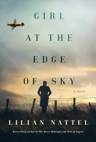 Book cover for Girl At The Edge Of The Sky