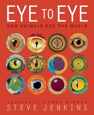 Book cover for Eye to Eye/How Animals See the World