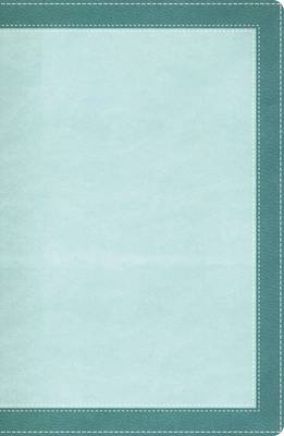 Book cover for The Woman's Study Bible, NIV [Turquoise/Sea Foam Green]