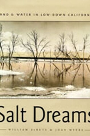 Cover of Salt Dreams