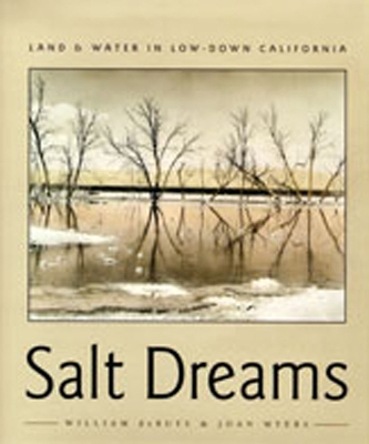 Book cover for Salt Dreams