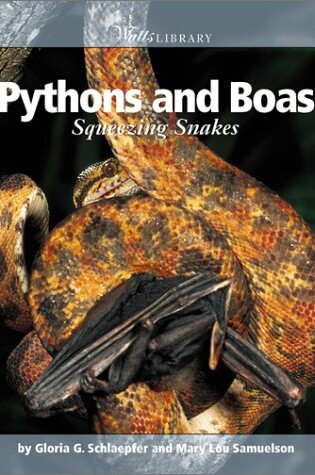 Cover of Pythons and Boas