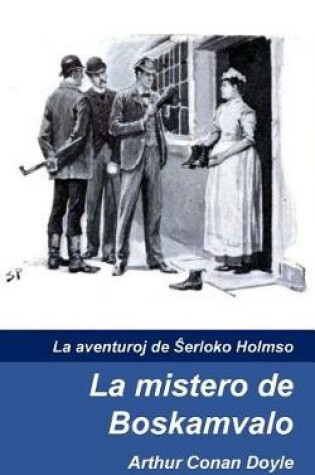 Cover of La mistero de Boskamvalo