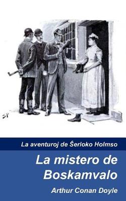 Book cover for La mistero de Boskamvalo
