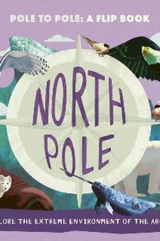 Cover of North Pole / South Pole