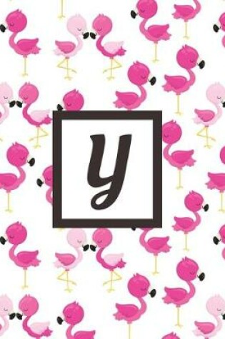 Cover of Y