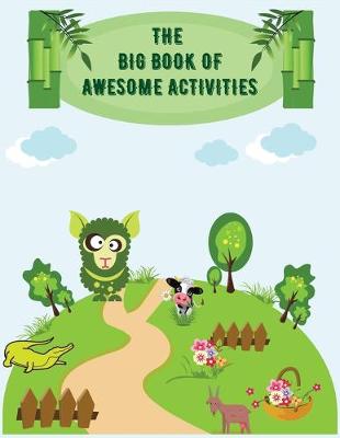 Book cover for The Big Book of Awesome Activies