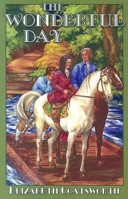 Book cover for The Wonderful Day