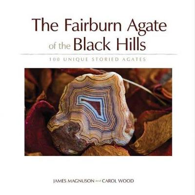 Book cover for The Fairburn Agate of the Black Hills