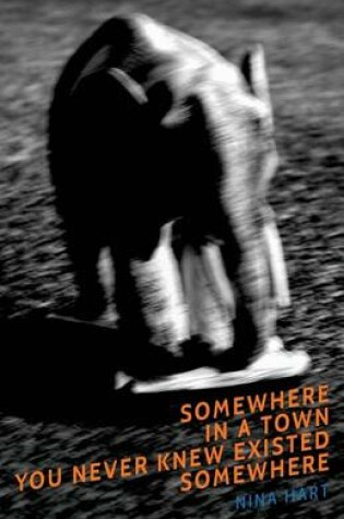 Cover of Somewhere in a Town You Never Knew Existed Somewhere