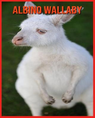 Book cover for Albino Wallaby