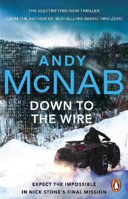 Book cover for Down to the Wire