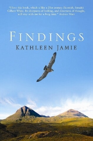 Cover of Findings