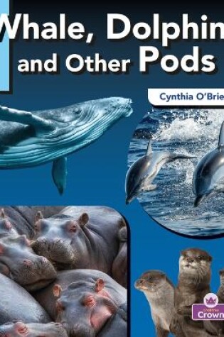 Cover of Whale, Dolphin, and Other Pods