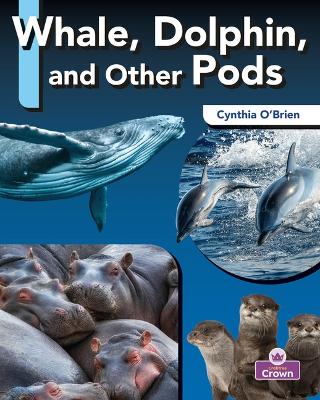 Book cover for Whale, Dolphin, and Other Pods