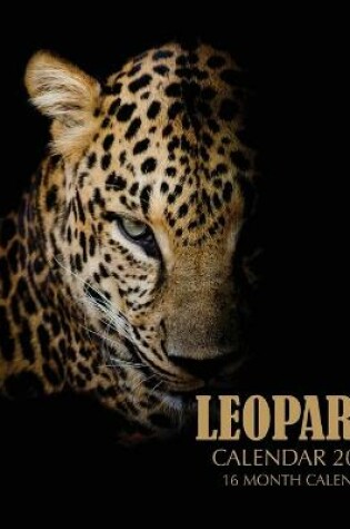 Cover of Leopard Calendar 2021