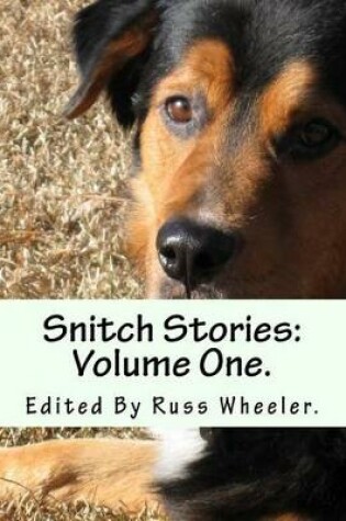 Cover of Snitch Stories