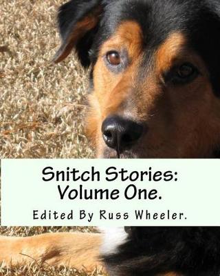 Book cover for Snitch Stories