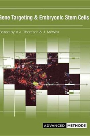 Cover of Gene Targeting and Embryonic Stem Cells