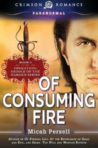 Cover of Of Consuming Fire
