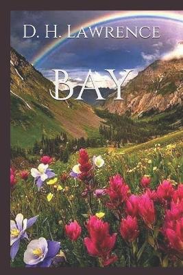 Book cover for Bay