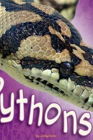 Cover of Pythons