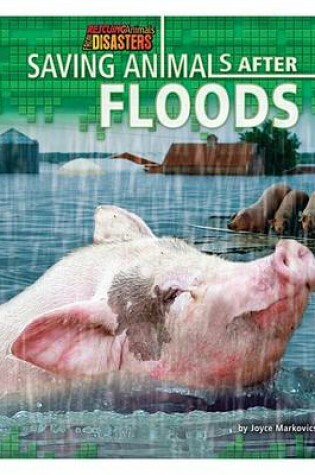 Cover of Saving Animals After Floods