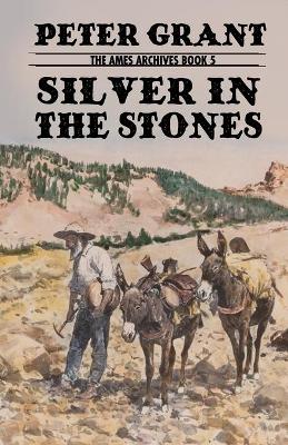 Book cover for Silver In The Stones