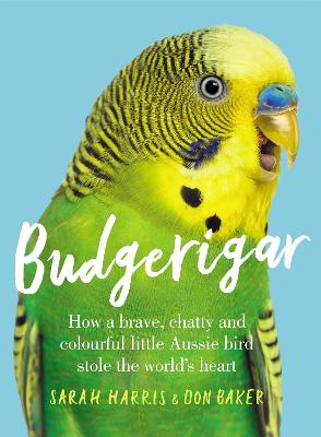 Book cover for Budgerigar