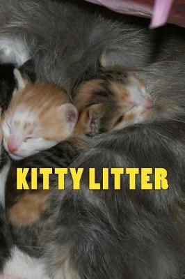 Book cover for Kitty Litter