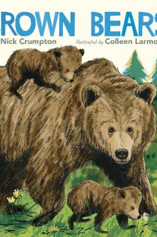 Cover of Brown Bears