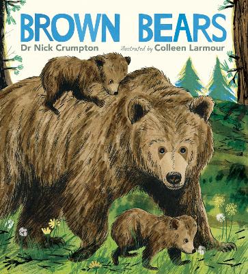 Book cover for Brown Bears