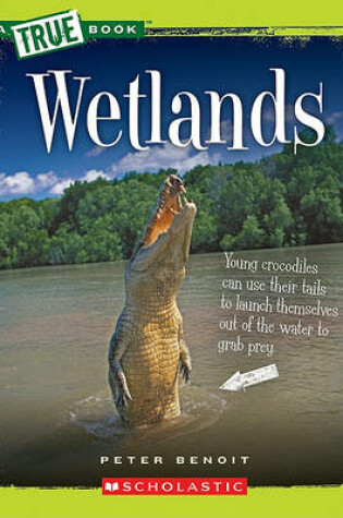 Cover of Wetlands