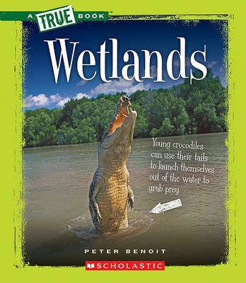 Book cover for Wetlands