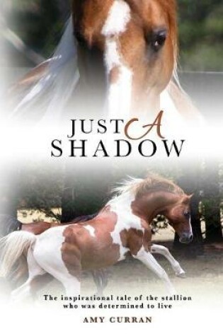 Cover of Just A Shadow