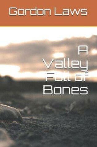 Cover of A Valley Full of Bones