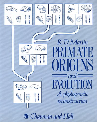 Book cover for Primate Origins and Evolution