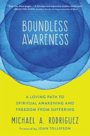 Cover of Boundless Awareness